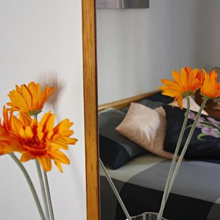 Apartament Sant Joan Sant Joan De Villatorrada Habitación foto